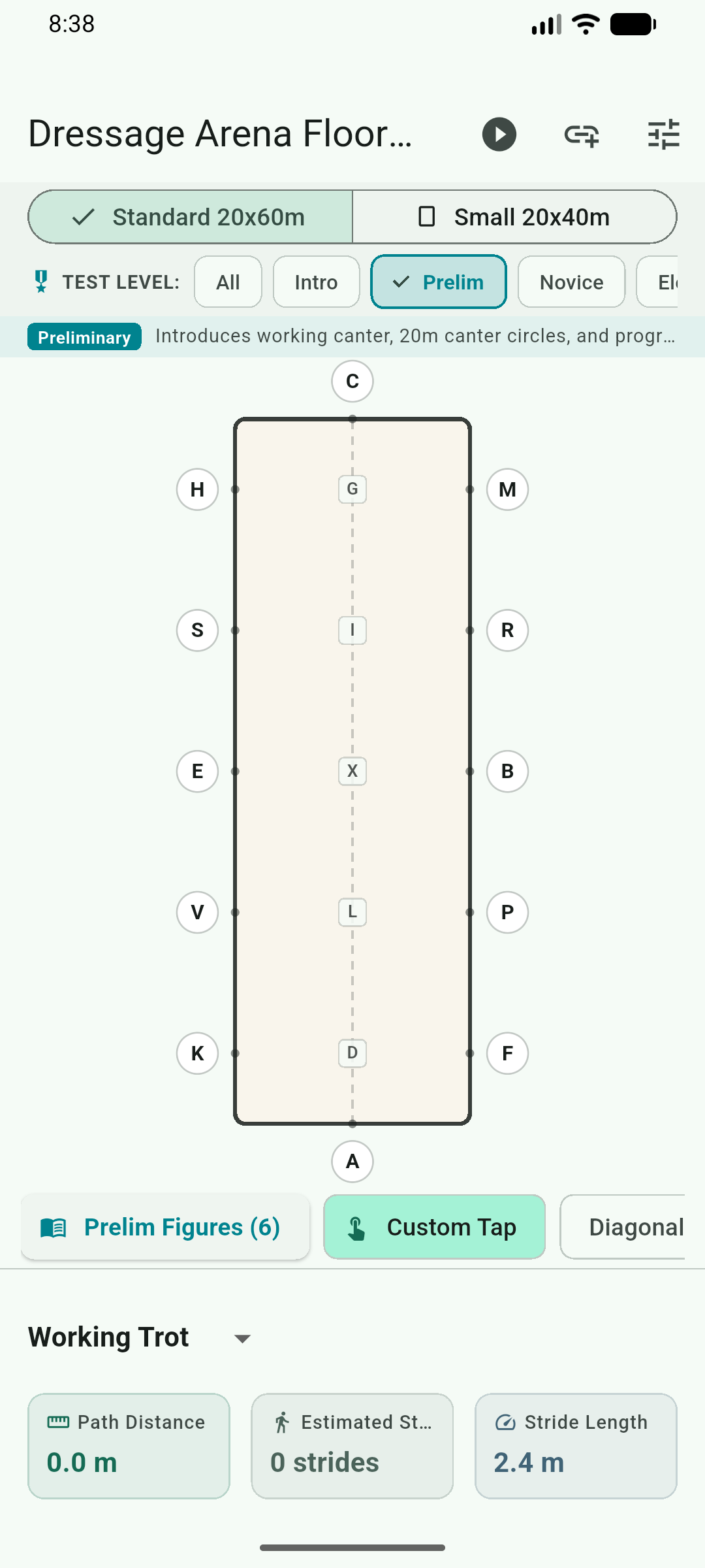 Movement Figures Canvas